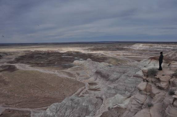 Admirando a belíssima paisagem do Petrified Forest National Park, no Arizona - Estados Unidos